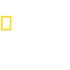 Logo de national-geographic-wild