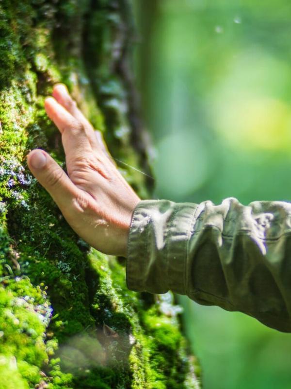 Le grand dossier - Le débat