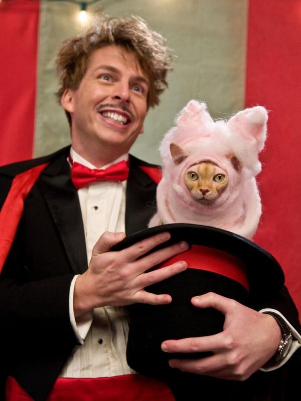 Comme chiens et chats : La revanche de Kitty Galore