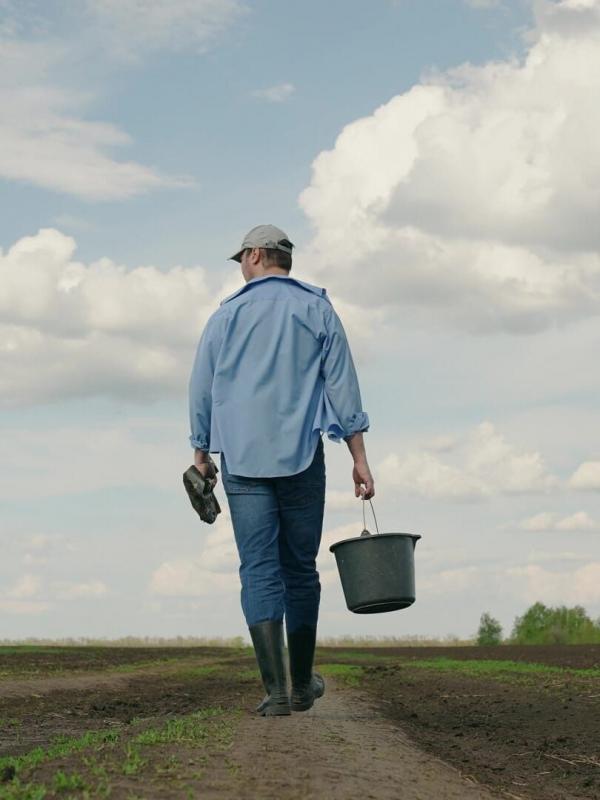 VIP - Very Important Paysan