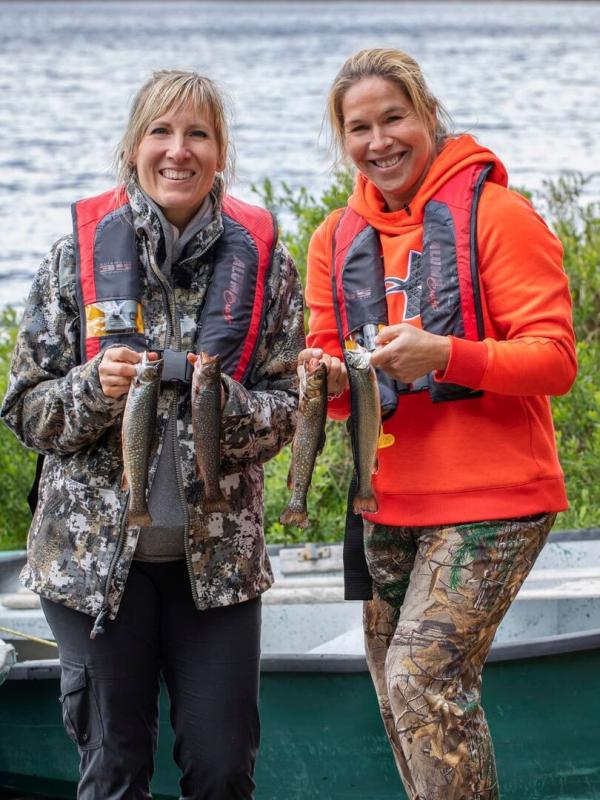 Québec à vol d'oiseau