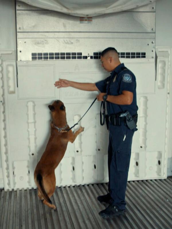 Douanes sous haute surveillance USA