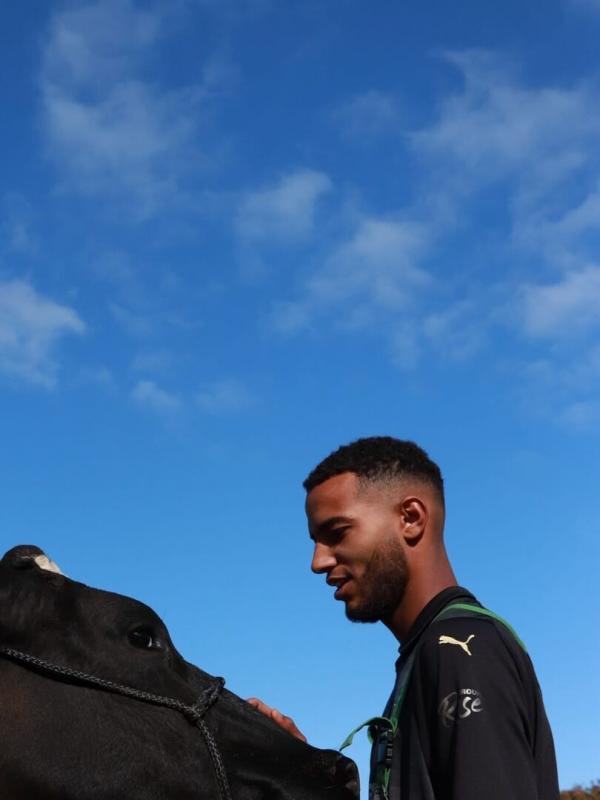 Nolan - devenir éleveur en Bretagne, la génération d'après