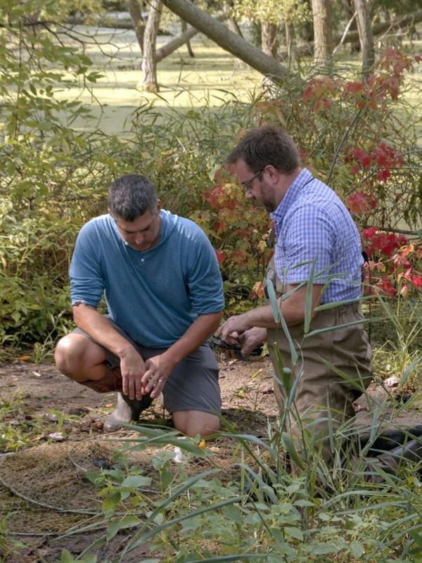 Nature : le retour du sauvage