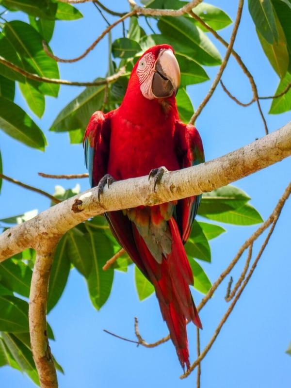 Destination Wild : Pérou sauvage