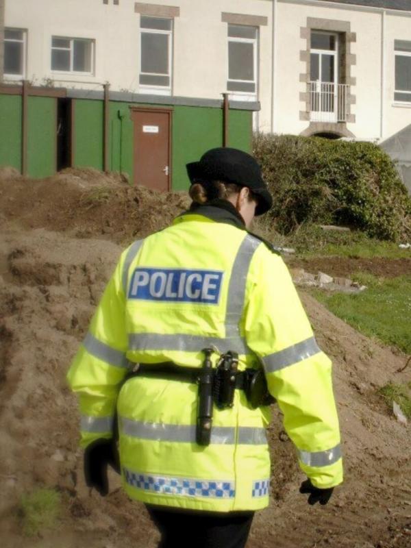 Le ventre de la bête