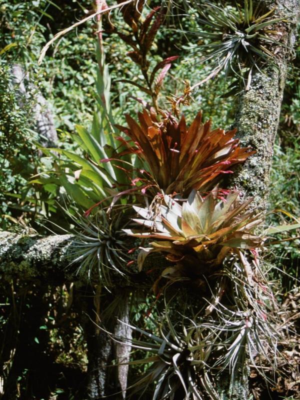 Destination Wild : Les secrets de l'Equateur