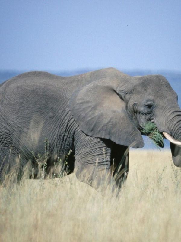 Destination Wild : Les secrets de l'Equateur