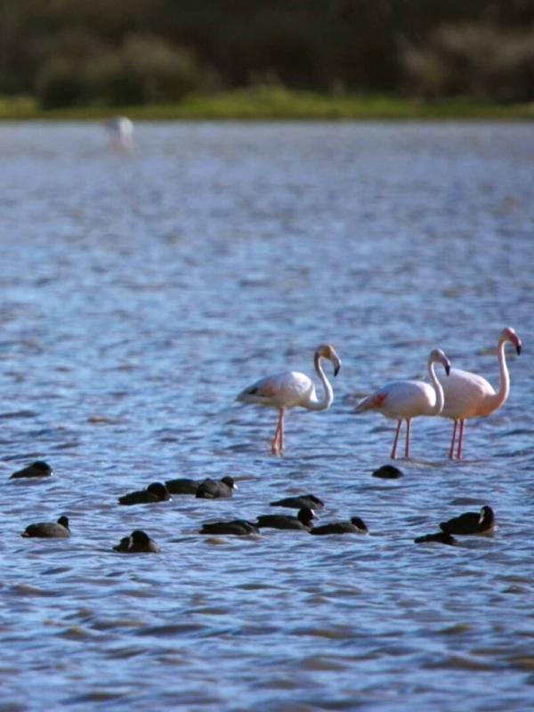 Des royaumes de terre et d'eau