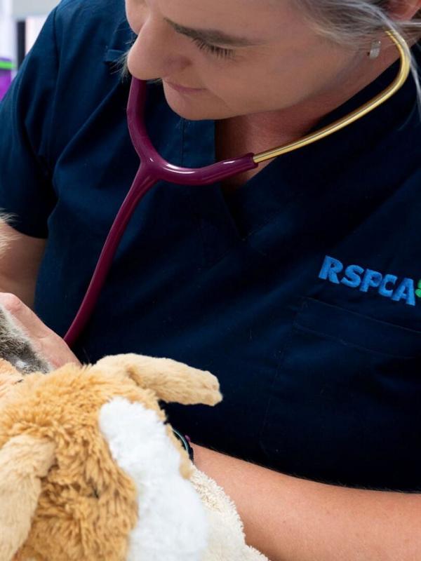 Australie : urgences faune sauvage