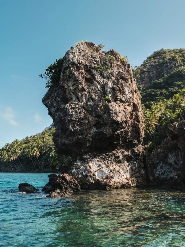 Retour à l'instinct primaire