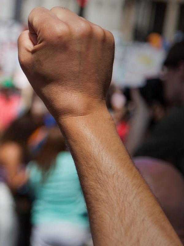 Le ventre de la bête