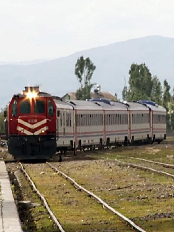 Des trains pas comme les autres