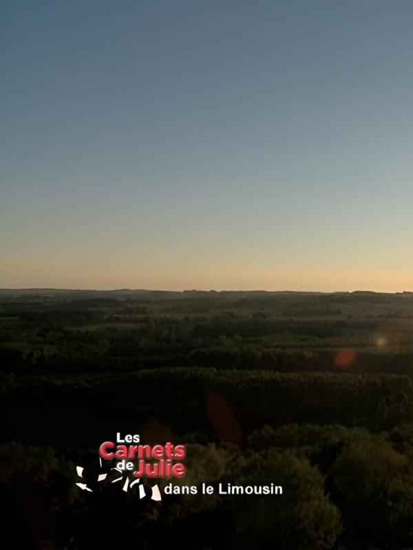 Les carnets de Julie