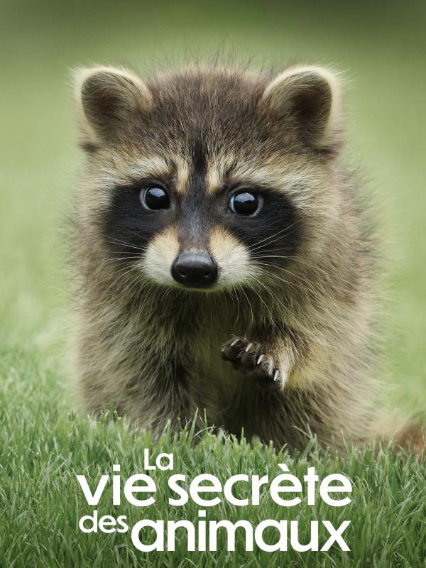 La Vie secrète des animaux