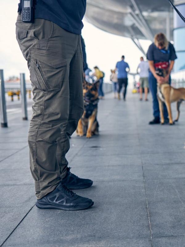 Douanes sous haute surveillance