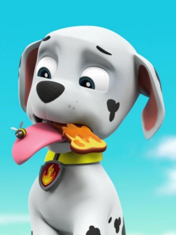 Paw Patrol S2 E12
