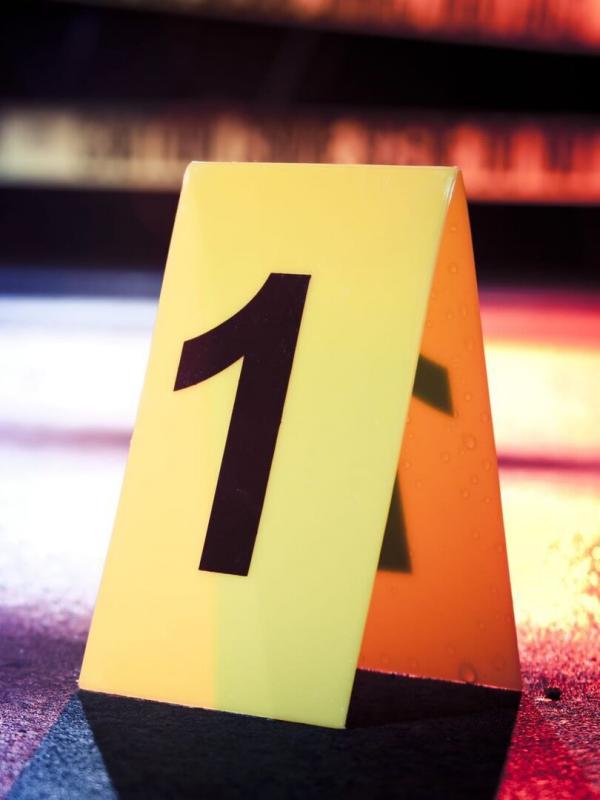 Meurtres à Los Angeles