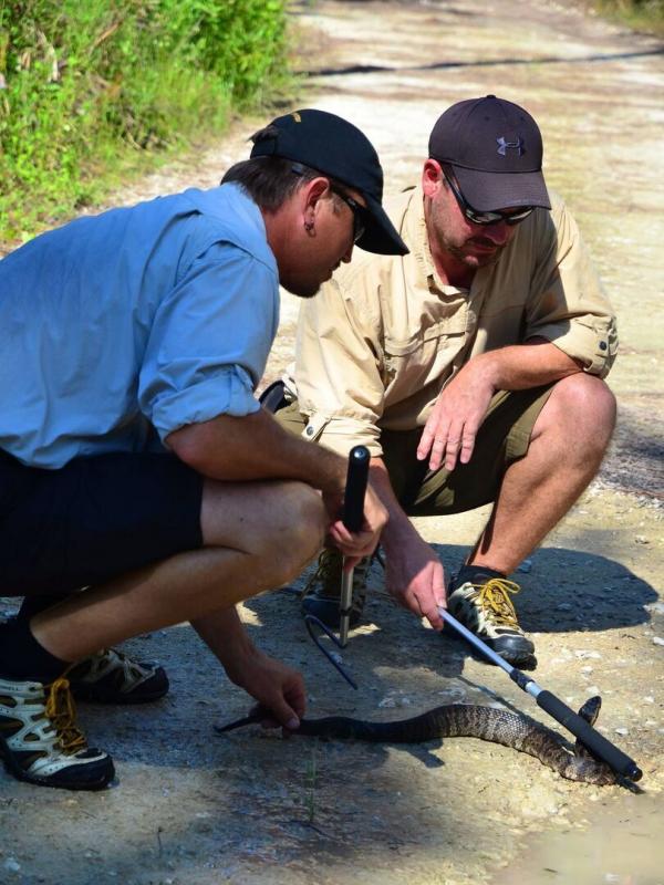 Chasseurs de pythons