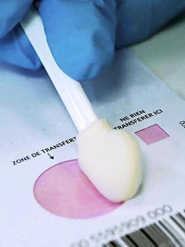 Section scientifique