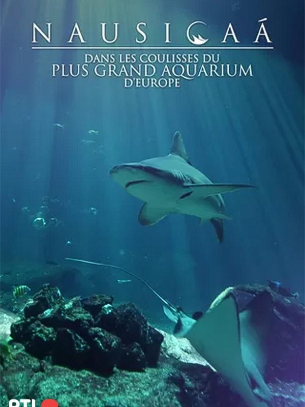 Nausicaá : Dans les coulisses du plus grand aquarium d'Europe
