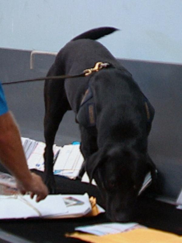 Douanes sous haute surveillance