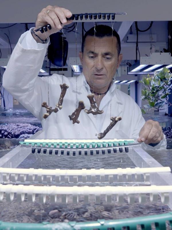 Dé-extinction, un nouvel espoir ?