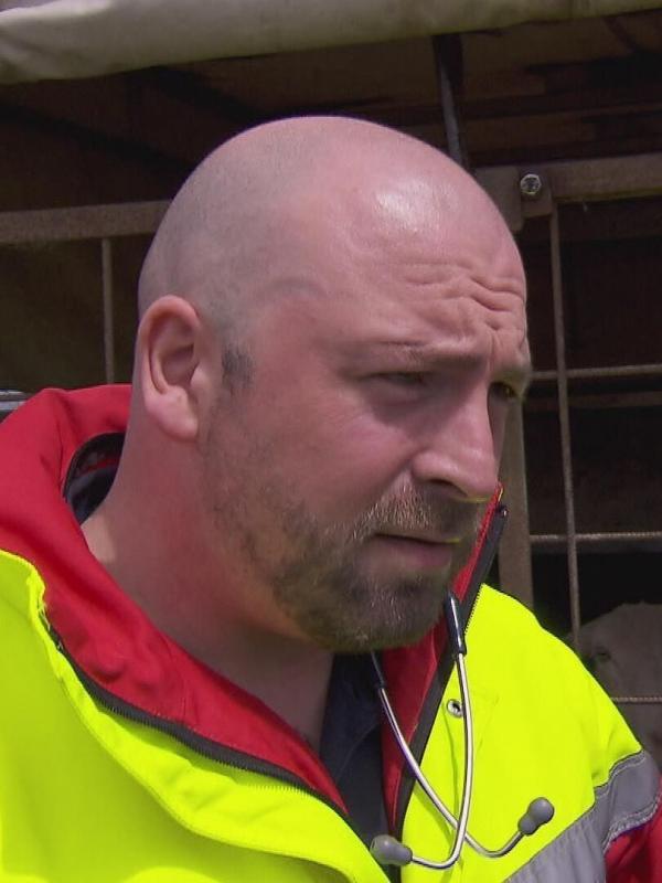 Auf Streife - Die Spezialisten