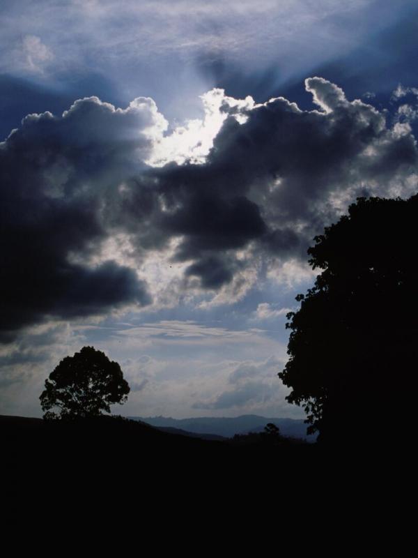 Destination Wild : Les secrets de l'Equateur