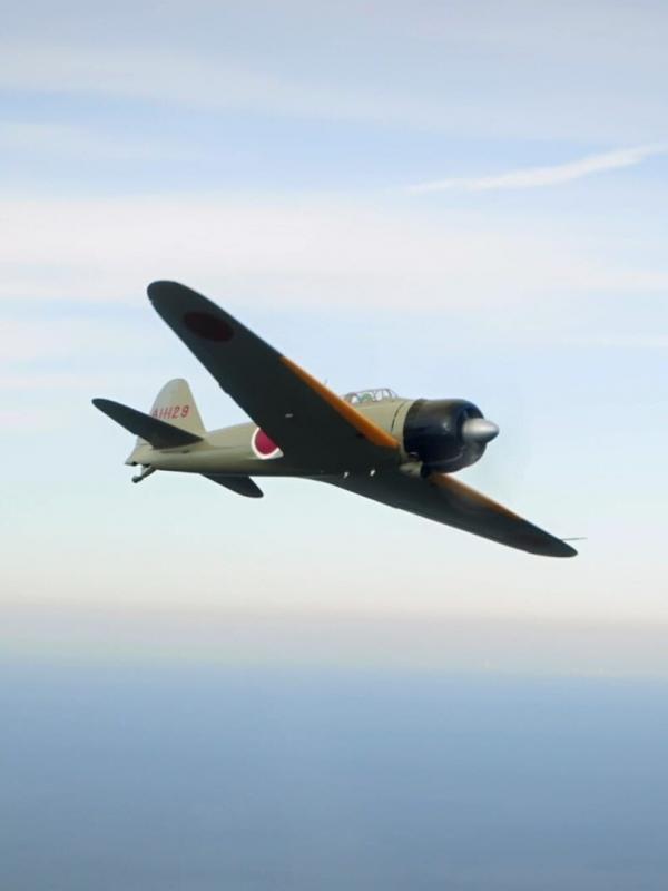 Les combattants du ciel