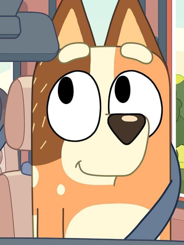 Bluey S2 E45