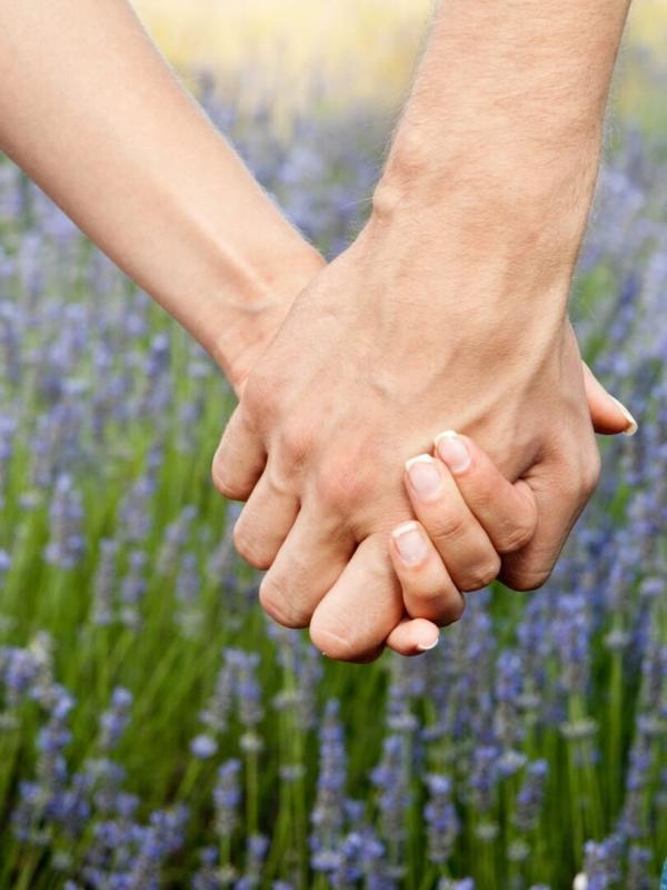 Les 100 vidéos qui ont fait rire le monde entier