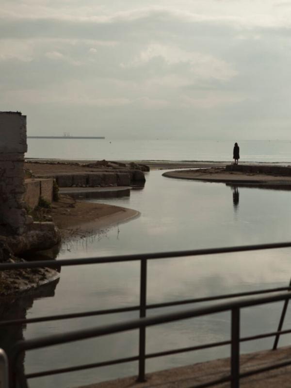 La Mafia dans le sang