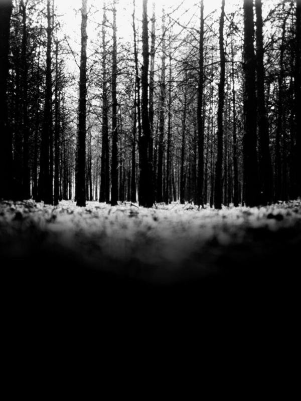 Le projet Blair Witch