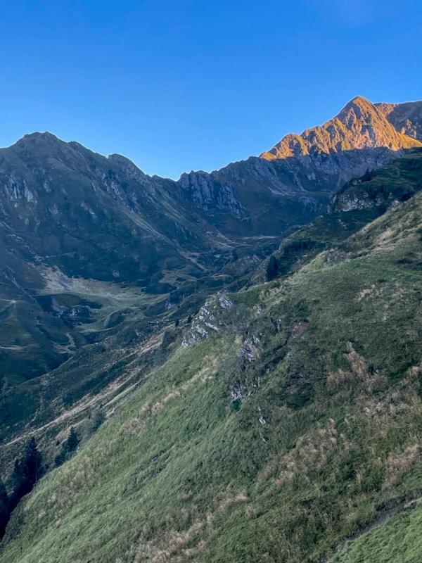 Brame aux sources de l'Adour