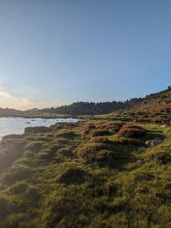 J'irai pêcher chez vous