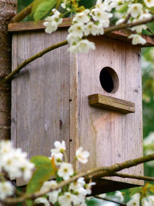 Le jardin extraordinaire