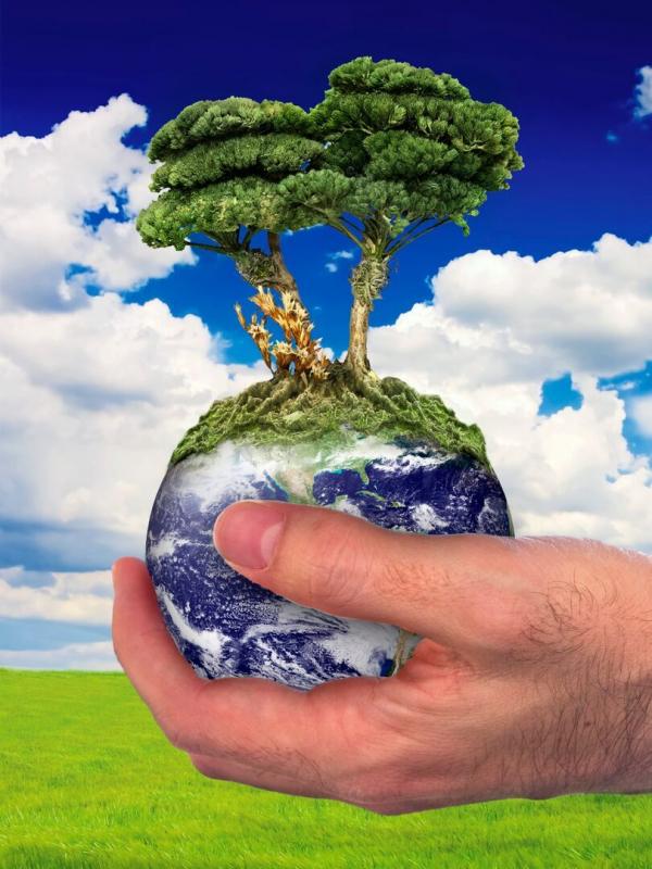 Le Grand Défi du jardinage