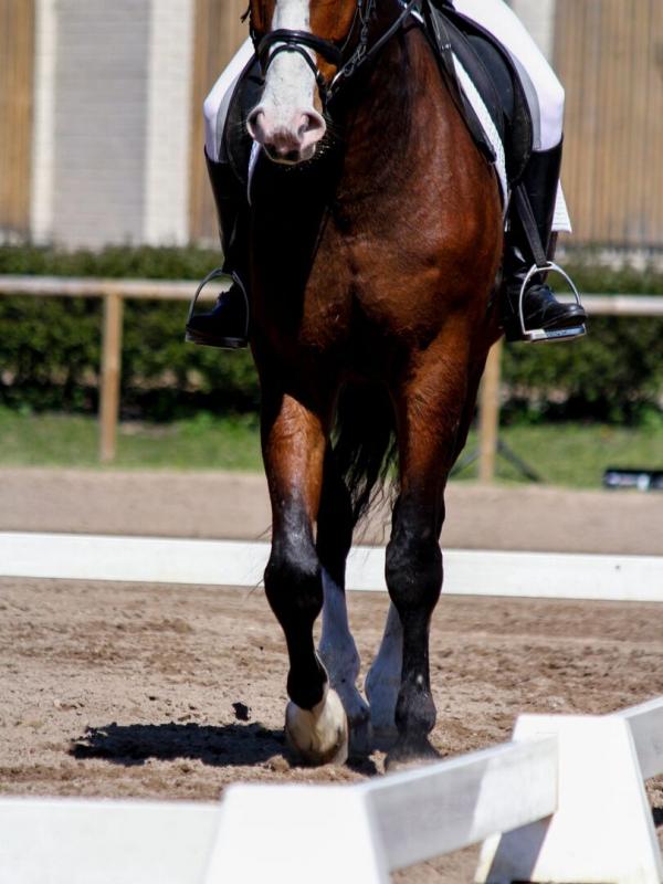 Ticket pour L'Amérique