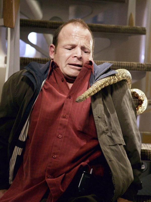 Des serpents dans l'avion