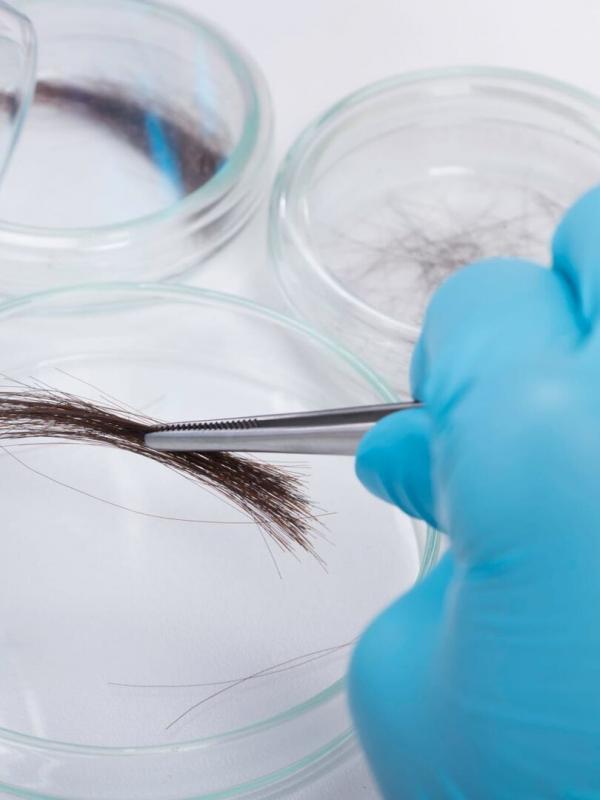 Au coeur de l'enquête