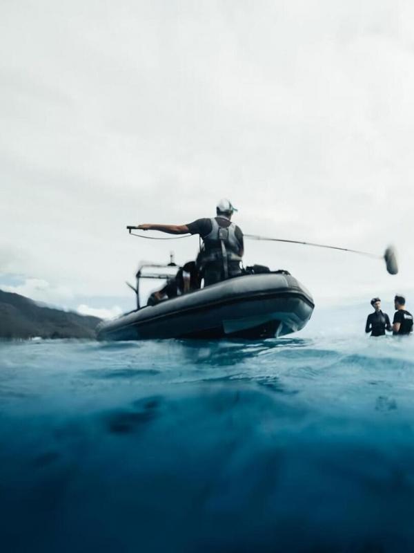 Les sentinelles de l'océan