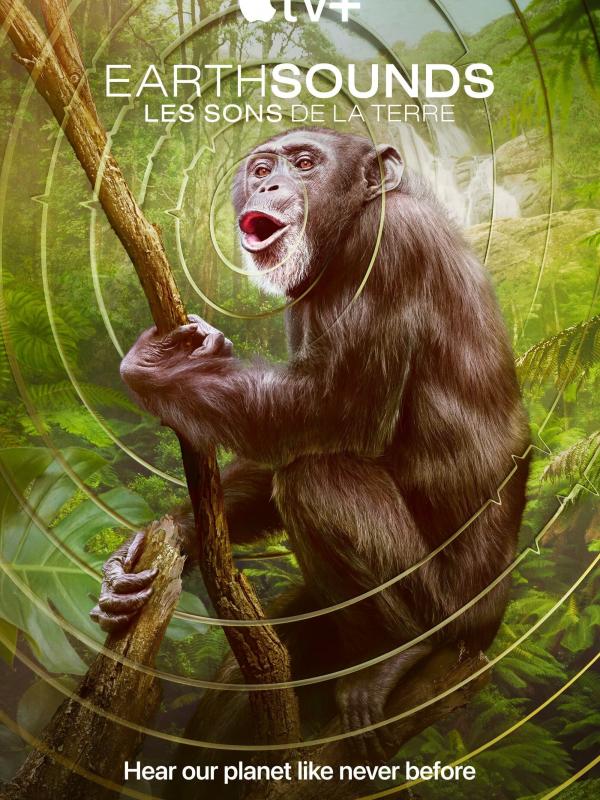 Earthsounds : les sons de la Terre