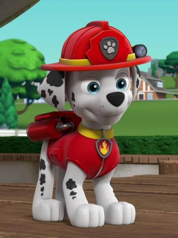 Pat' Patrouille S8 E24