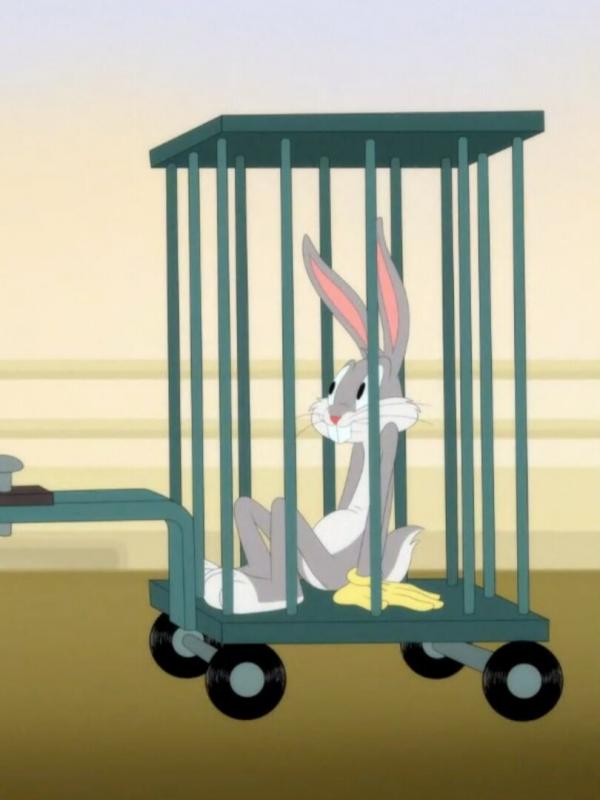 Looney Tunes Cartoons