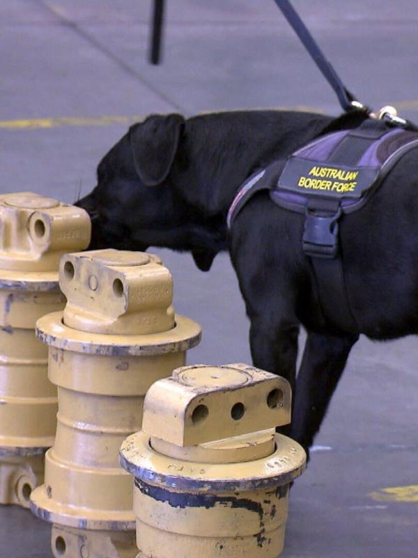 Douanes sous haute surveillance