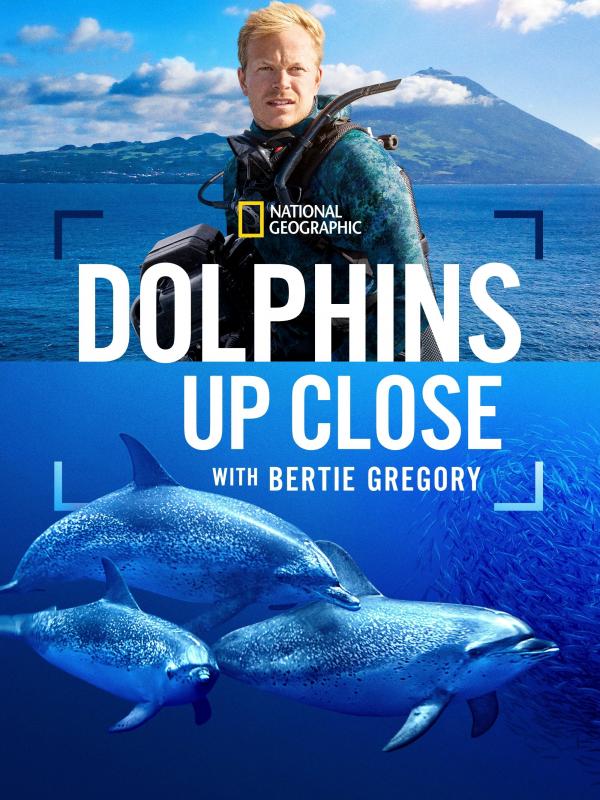Dolphins Up Close with Bertie Gregory