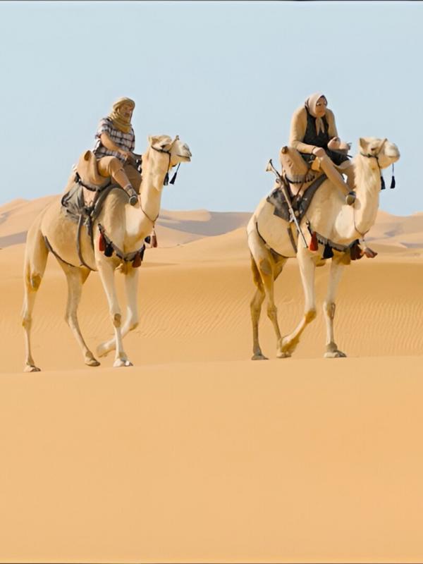 Les Bodin's partent en vrille