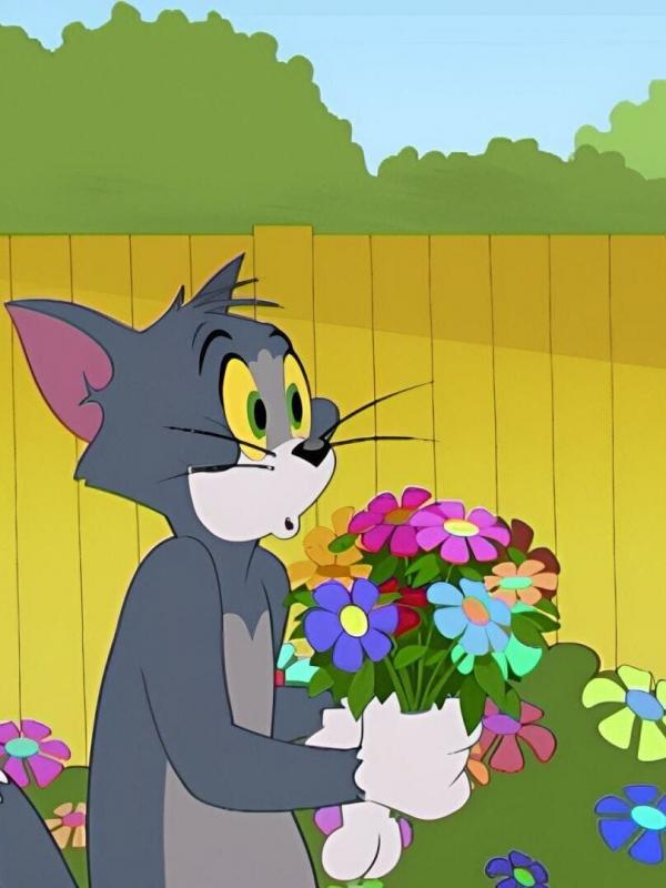 Tom et Jerry Show S4 E53