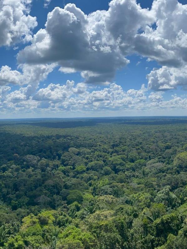 Les cités perdues de l'Amazonie